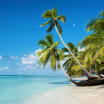 Staying with the same host - visitntour-Visit & Tour